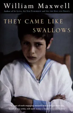 they came like swallows book cover image