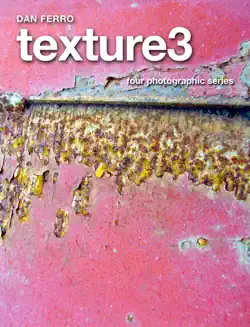 texture3 book cover image