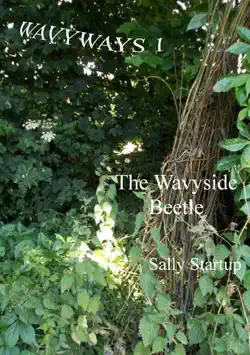 the wavyside beetle book cover image