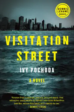 visitation street book cover image