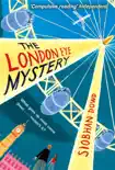 The London Eye Mystery sinopsis y comentarios