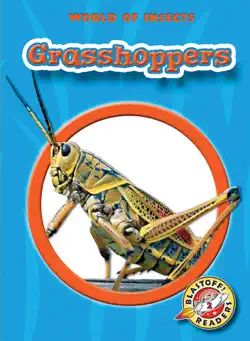 grasshoppers book cover image