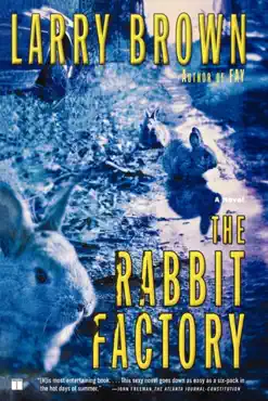 the rabbit factory book cover image