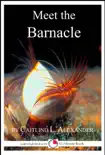 Meet the Barnacle: A 15-Minute Book for Early Readers sinopsis y comentarios