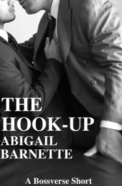 the hook-up book cover image