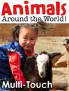Animals Around the World!