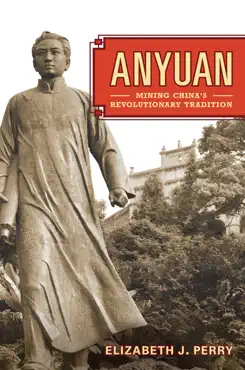 anyuan book cover image