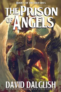 the prison of angels book cover image