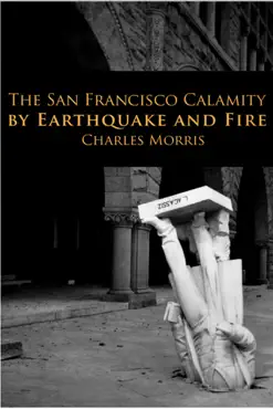 the san francisco calamity imagen de la portada del libro