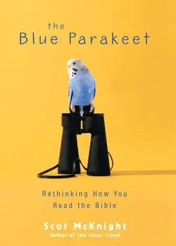 the blue parakeet book cover image