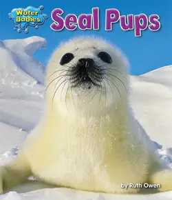 seal pups book cover image