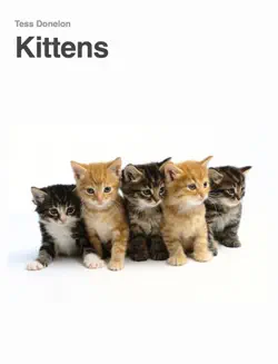 kittens book cover image
