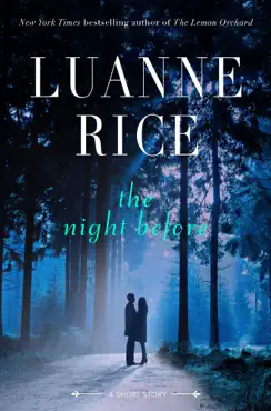 the night before book cover image