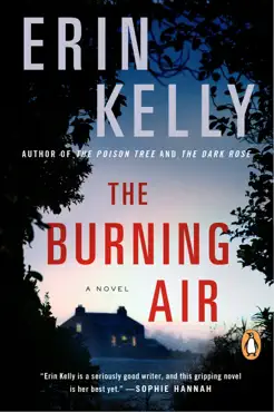the burning air book cover image