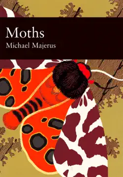 moths imagen de la portada del libro