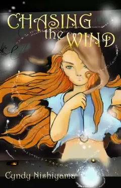 chasing the wind book cover image