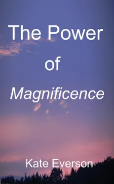 the power of magnificence book cover image