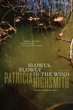 slowly, slowly in the wind book cover image