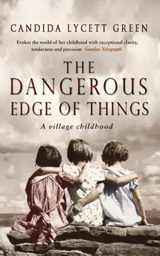 the dangerous edge of things imagen de la portada del libro
