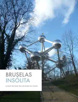 bruselas book cover image