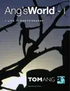 Ang's World - 1