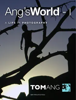 ang's world - 1 book cover image
