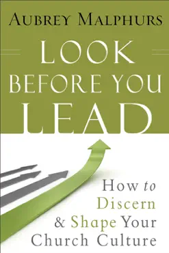 look before you lead book cover image