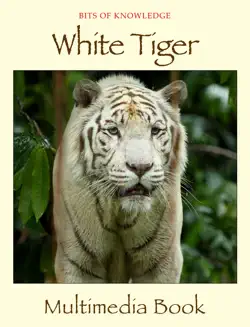 white tiger book cover image
