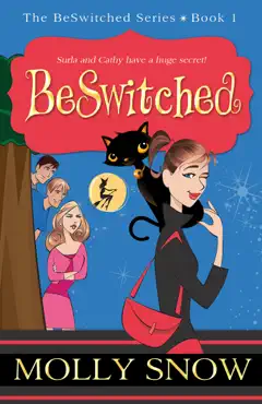 beswitched book cover image