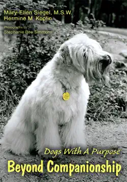 beyond companionship book cover image