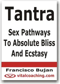 tantra - sex pathways to absolute bliss and ecstasy book cover image