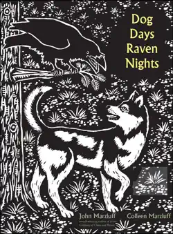 dog days, raven nights book cover image