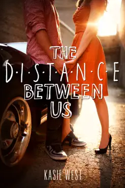 the distance between us book cover image