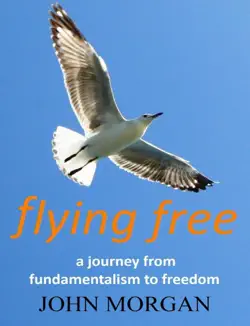 flying free book cover image
