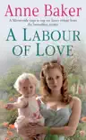A Labour of Love synopsis, comments