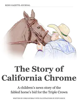 the story of california chrome book cover image
