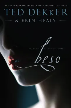 beso book cover image