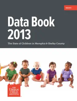 data book 2013 book cover image