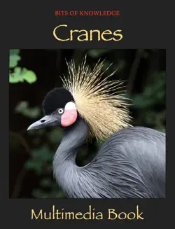 cranes book cover image