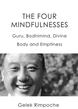 the four mindfulnesses imagen de la portada del libro
