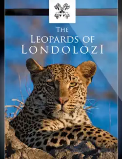 the leopards of londolozi book cover image