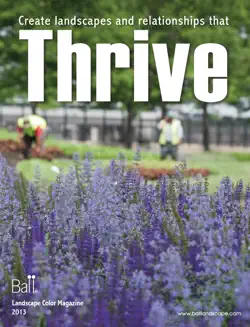 thrive 2013 book cover image