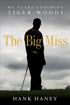the big miss book cover image