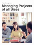 Managing Projects of all Sizes book summary, reviews and download