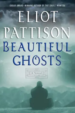 beautiful ghosts book cover image