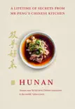 Hunan synopsis, comments