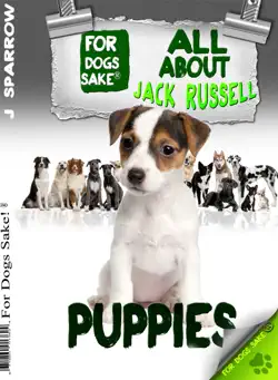 all about jack russell puppies book cover image