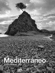 Mediterraneo synopsis, comments