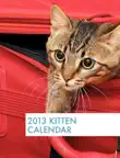 2013 Kitten Calendar synopsis, comments