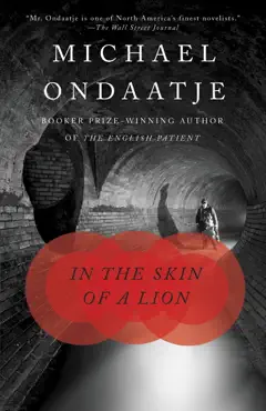 in the skin of a lion book cover image